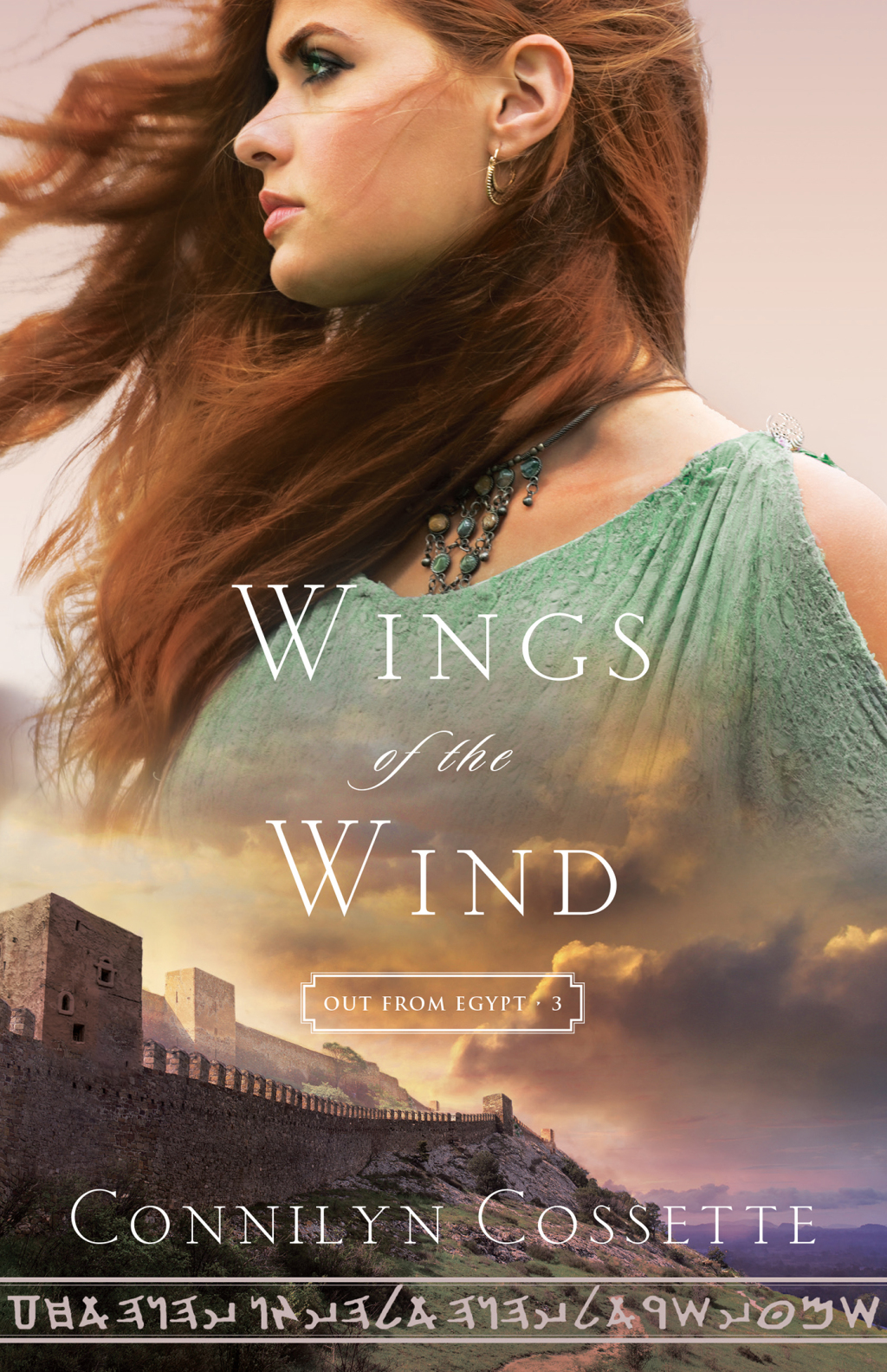 Wings of the Wind eBook
