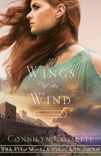 Omslagafbeelding: Wings of the Wind 9780764218224
