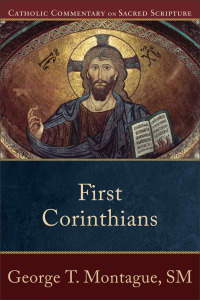 表紙画像: First Corinthians 9780801036323