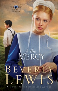 Cover image: The Mercy 9780764206016