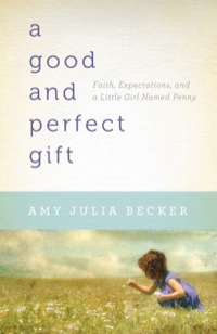 Cover image: A Good and Perfect Gift 9780764209178
