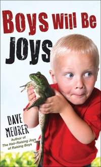 Cover image: Boys Will Be Joys 9780800788001