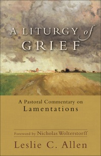 Imagen de portada: A Liturgy of Grief 9780801039607