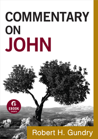 Cover image: Commentary on John 9781441237613