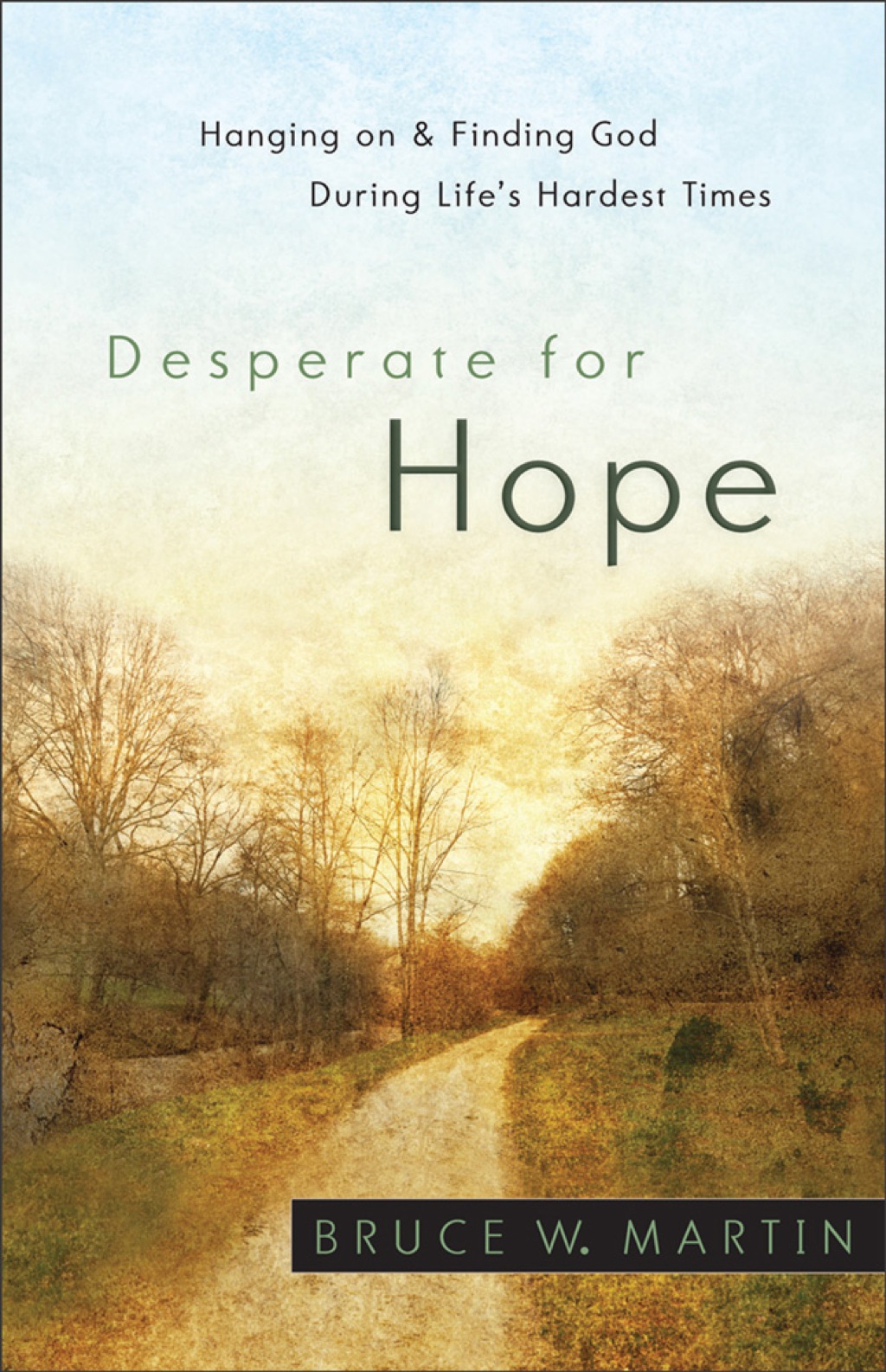 Desperate for Hope Hanging on and Finding God during Life’s Hardest Times