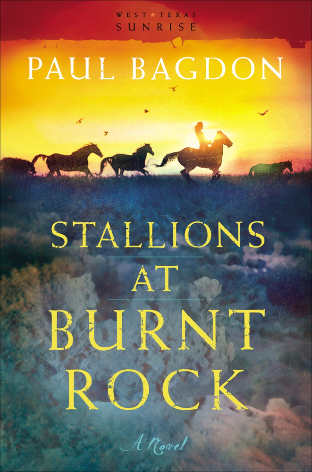 ISBN 9780800757984 product image for Stallions at Burnt Rock (eBook) | upcitemdb.com