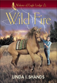 Cover image: Wild Fire 9780800757465