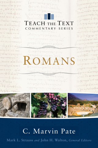 Cover image: Romans 9780801075889