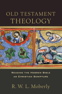 Imagen de portada: Old Testament Theology 9780801048852