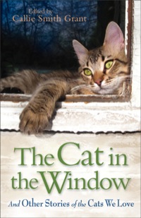 Imagen de portada: The Cat in the Window 9780800721800