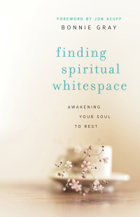 Cover image: Finding Spiritual Whitespace 9780800721794