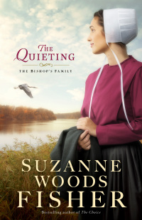 Cover image: The Quieting 9780800723217