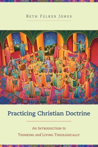 Cover image: Practicing Christian Doctrine 9780801049330