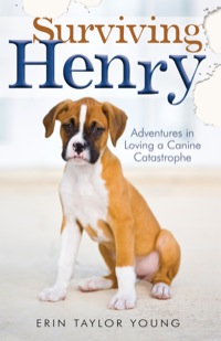 Cover image: Surviving Henry 9780800723569