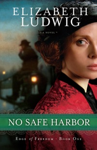 Cover image: No Safe Harbor 9780764210396