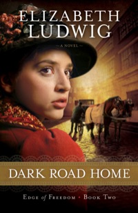 Cover image: Dark Road Home 9780764210402