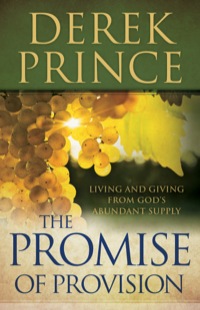 Cover image: The Promise of Provision 9780800795221