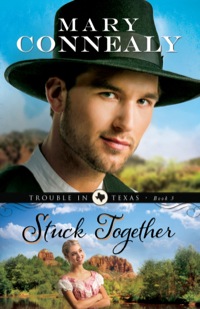 Imagen de portada: Stuck Together 9780764209161