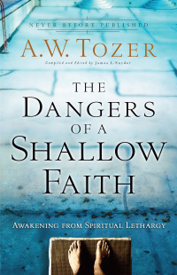Omslagafbeelding: The Dangers of a Shallow Faith 9780764216169
