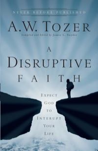 Cover image: A Disruptive Faith 9780764216176