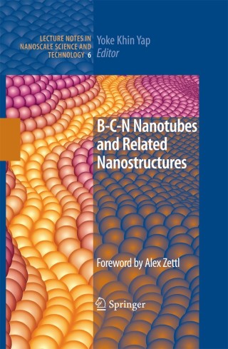 Cover image: B-C-N Nanotubes and Related Nanostructures 1st edition 9781441900852