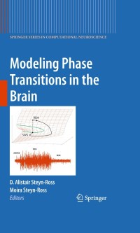 Cover image: Modeling Phase Transitions in the Brain 1st edition 9781441907950