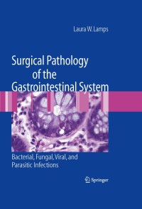 Titelbild: Surgical Pathology of the Gastrointestinal System: Bacterial, Fungal, Viral, and Parasitic Infections 9781441908605
