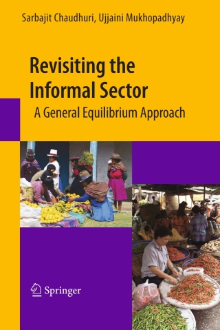 Titelbild: Revisiting the Informal Sector 9781441911933