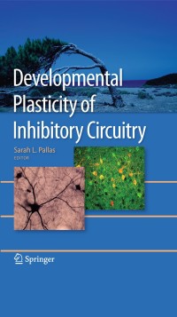 Omslagafbeelding: Developmental Plasticity of Inhibitory Circuitry 1st edition 9781441912428