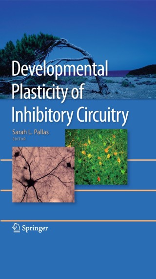 Cover image: Developmental Plasticity of Inhibitory Circuitry 1st edition 9781441912428