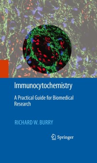Titelbild: Immunocytochemistry 9781441913036