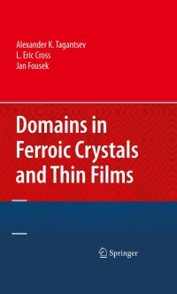 表紙画像: Domains in Ferroic Crystals and Thin Films 9781441914163