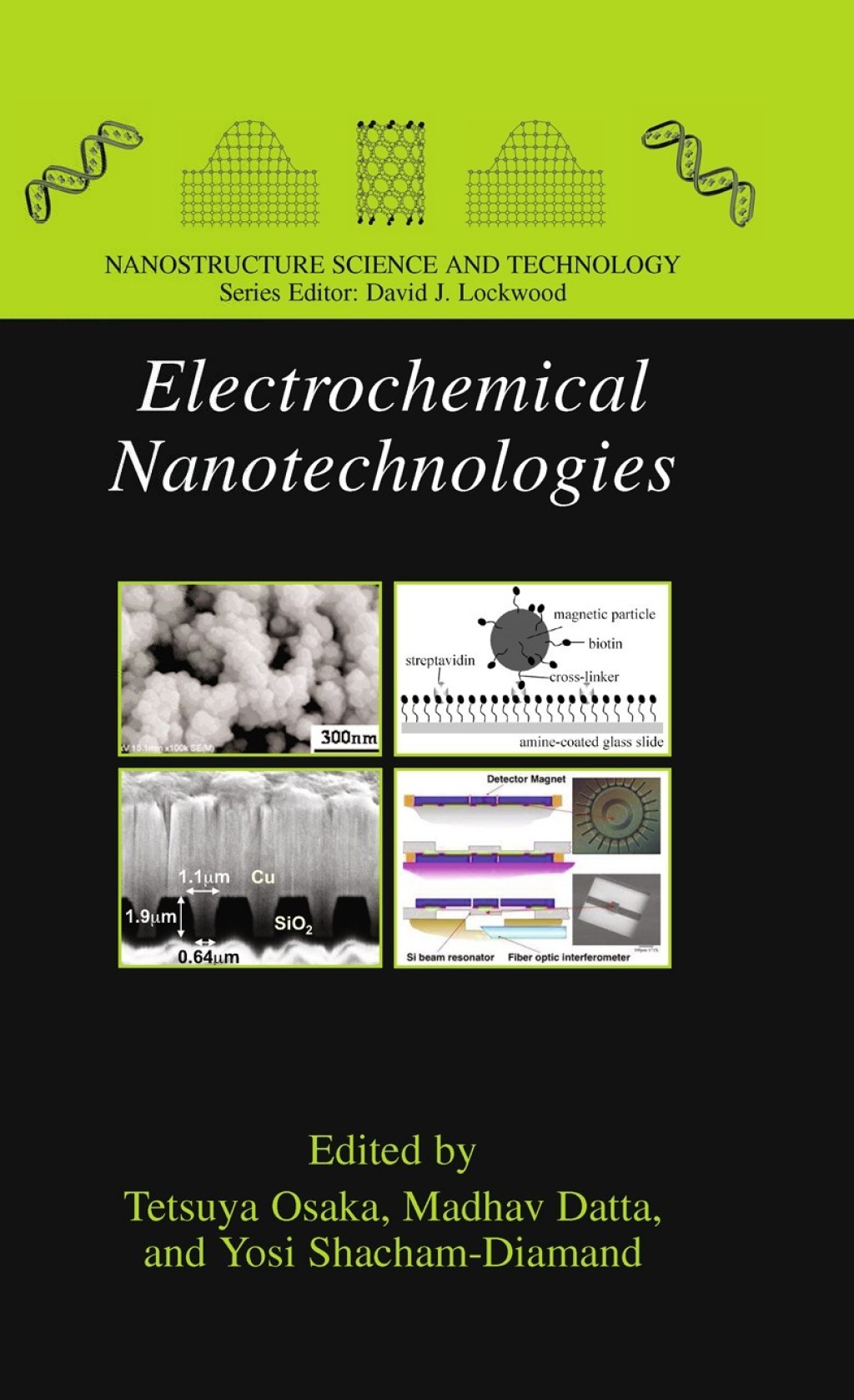 Electrochemical Nanotechnologies 1st Edition