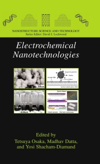 Omslagafbeelding: Electrochemical Nanotechnologies 1st edition 9781441914231