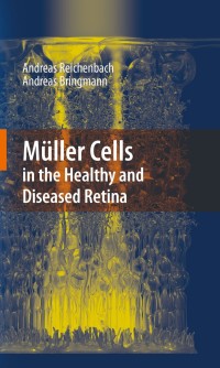Cover image: Müller Cells in the Healthy and Diseased Retina 9781441916716