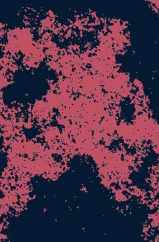Imagen de portada: Biosurfactants 1st edition 9781441959782