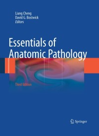 Imagen de portada: Essentials of Anatomic Pathology 3rd edition 9781441960429