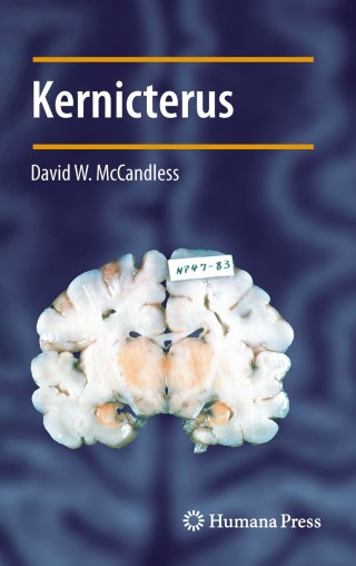 Cover image: Kernicterus 9781441965547