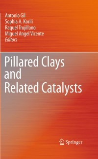 Titelbild: Pillared Clays and Related Catalysts 1st edition 9781441966698