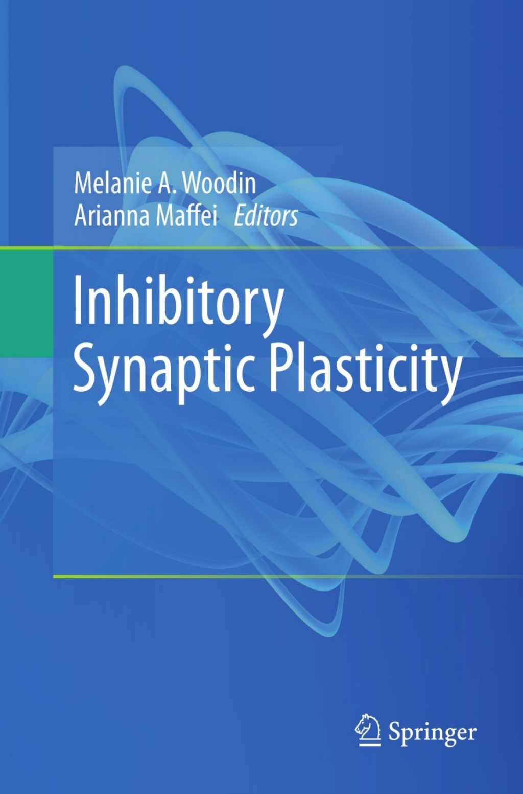 Inhibitory Synaptic Plasticity