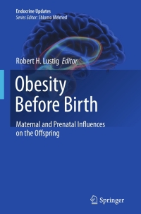 Cover image: Obesity Before Birth 9781441970336