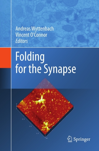 Imagen de portada: Folding for the Synapse 9781441970602