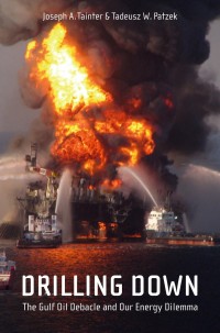 Cover image: Drilling Down 9781441976765