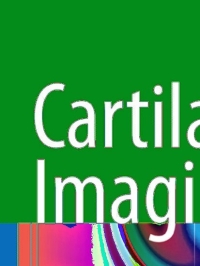 Cover image: Cartilage Imaging 9781441984371