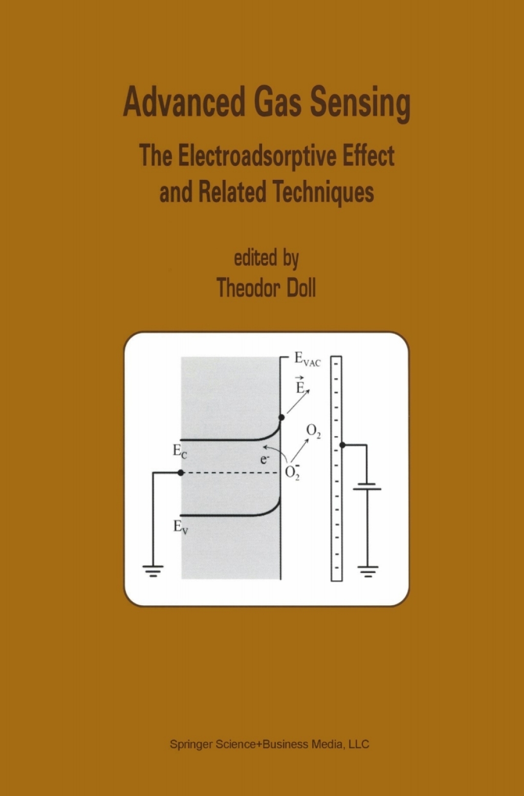 Advanced Gas Sensing The Electroadsorptive Effect and Related Techniques 1st Edition