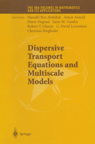 表紙画像: Dispersive Transport Equations and Multiscale Models 1st edition 9780387404967