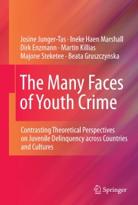 Titelbild: The Many Faces of Youth Crime 9781441994547