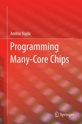 Imagen de portada: Programming Many-Core Chips 9781441997388