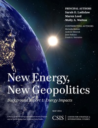 Imagen de portada: New Energy, New Geopolitics 9781442228498