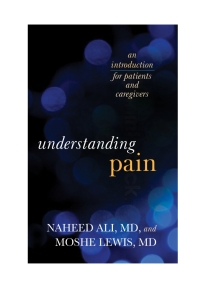Titelbild: Understanding Pain 9780810895546